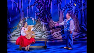 Cinderella Hull  Official Panto Promo  Hull New Theatre [upl. by Ayel]