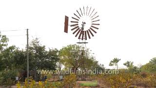 Wind mill Gujarat  Renewable energy for rural India combination of international tech and jugaad [upl. by Eidnarb]