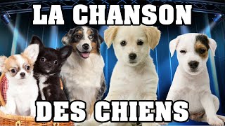 🐶 LA CHANSON DES CHIENS 🐶 [upl. by Fasa]