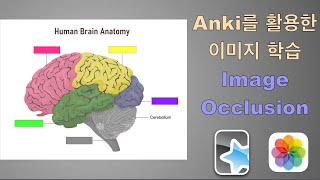 이미지를 Anki로 학습하는 방법  Image Occlusion [upl. by Klimesh430]