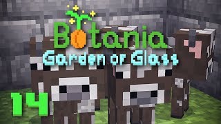 Garden of Glass Questbook Edition EP14 Botania Cow Breading Farm [upl. by Hassadah943]