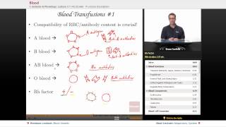 quotBloodquot  Anatomy amp Physiology with Educatorcom [upl. by Anoet]