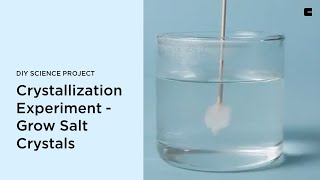 Crystallization Experiment  Grow Salt Crystals  DIY Science Project [upl. by Egroj]