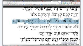 Reading Hebrew in the Siddur Learning the 3rd Paragraph of the Shema  Vayomer Numbers 153741 [upl. by Armil89]