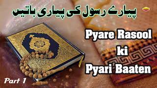 Pyare Rasool Ki Pyari Baaten  Part 1  Quran Aur Hadees [upl. by Gannon]