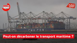 Rodolphe Saadé PDG de CMACGM auditionné par les sénateurs [upl. by Bronez358]