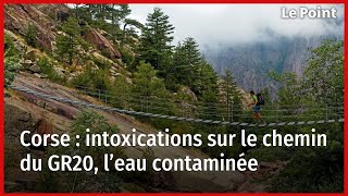 Corse  intoxications sur le chemin du GR20 l’eau contaminée [upl. by Sabra]