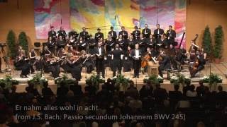 Er nahm alles wohl in acht from JS Bach Passio secundum Johannem BWV 245 [upl. by Llevad]