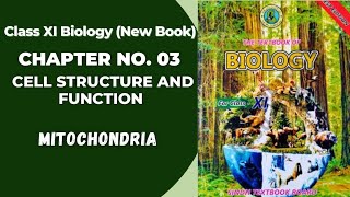 Ch 3 Cell Structure and function  Mitochondria  Class 11 new Biology book Sindh board [upl. by Seidnac848]