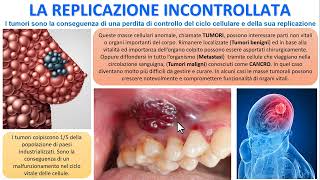 LE CELLULE TUMORALI ED I TUMORI [upl. by Rob539]