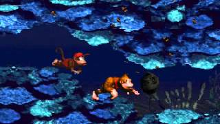 DKC Hack 2012  End Of Bananas  Croctopus Chase W4LVL4 [upl. by Ellehsyt]