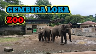 GEMBIRA LOKA ZOO [upl. by Lamhaj]