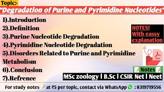 Degradation of Purine and Pyrimidine Nucleotides  Biochemistry [upl. by Viridissa120]