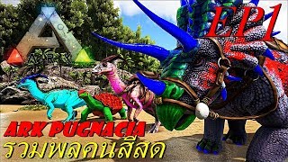 BGZ  ARK Pugnacia Plus EP1 รวมพลคนสีสวย จับเเหลก [upl. by Ecinerev]