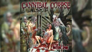 Cannibal Corpse  quotThe Wretched Spawnquot Full album [upl. by Parrie]