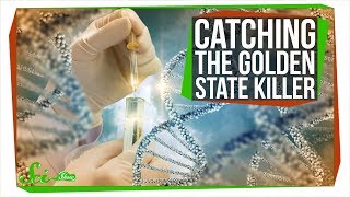 How DNA Analysis Led Police to the Golden State Killer [upl. by Asira]