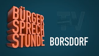 OnlineBürgersprechstunde Borsdorf mit Bürgermeisterin Birgit Kaden [upl. by Larina]