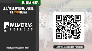 Leilão de gado para cria recria e engorda Palmeiras Leilões [upl. by Garda]