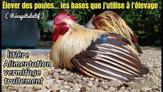 élever des poules quelques conseils alimentation vermifuge [upl. by Kial]