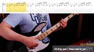 Red Hot Chili PeppersHigher GroundBass Cover with Tab amp Notation [upl. by Odraude784]