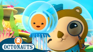 Octonauts  🦦 Shellington Meets an Immortal Jellyfish 🎐  Season 3  Best Bits [upl. by Roselin180]