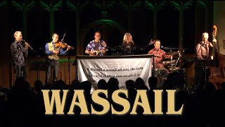 Maddy Prior and The Carnival Band  Wassail [upl. by Aneleve]