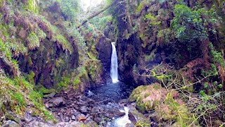 Dalegarth Falls March 2017 [upl. by Trebliw708]