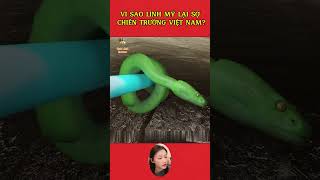 Lí do Mỹ thất bại tại chiến trường Việt Nam shotsvideo giảitrí tintuc chiếntranh hoakỳ khampha [upl. by Rima]