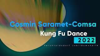 Cosmin Saramet Comsa Kung Fu Dance [upl. by Digdirb]