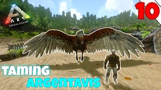 taming argentavis  ARK survival evolved Mobile  episode 10  arksurvivalevolved [upl. by Ivetts571]