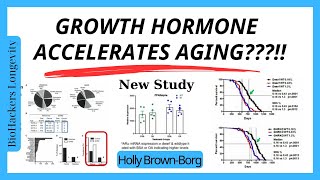 Growth Hormone accelerates aging Holly BrownBorg [upl. by Annatnom]