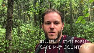 Exploring Belleplain State Forest [upl. by Colfin]