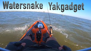 Watersnake T24 on YAKGADGET Pod mount Bonafide SS127 [upl. by Collbaith]