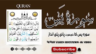 Surah Yaseen Full Surah Yasin Recitation with HD Arabic Text Surah Yaseen Pani Patti Voice  4K [upl. by Vaas]