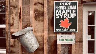 🍁 Maple Syrup Production [upl. by Ellertnom43]