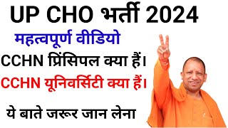 UP CHO भर्ती 2024 BIG UPDATE UP CHO CCHN CERTIFICATE BIG PROBLEM IMPORTANT VIDEO FOR UP CHO 2024 [upl. by Adnilema]