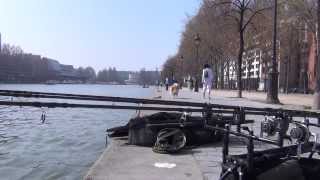 Urban Carp Fishing Partie 1 [upl. by Enak]