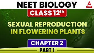 Sexual Reproduction in Flowering Plants Part 1 Class 12NEET Biology Chapter 2  Nishulk Batch [upl. by Divine]