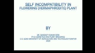 Selfincompatibility System in Plants [upl. by Debby]