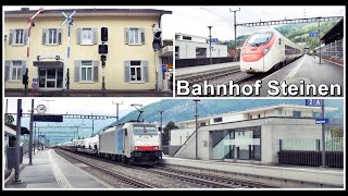 Zugsichtungen beim Bahnhof Steinen SZ Kanton Schwyz Schweiz 2021 [upl. by Nylecoj]