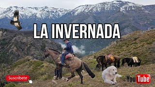 La Invernada Arrieros Cordillera de los Andes Capítulo 2 en Buscando Cabras en la Montaña la Suiza [upl. by Alveta]