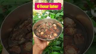 Reetha shikakai and Dry amla herbal homemade shampoo for natural hair growth shorts [upl. by Radu]