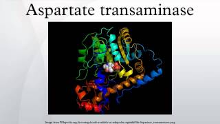 Aspartate transaminase [upl. by Anyt]