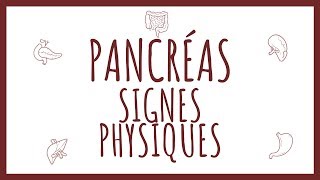 Sémiologie Pancréas  Signes Physiques [upl. by Eisned]