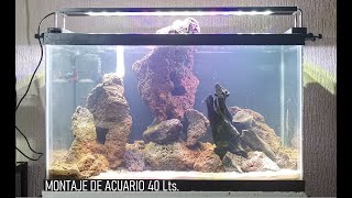 MONTAJE DE ACUARIO 40L [upl. by Gnut]