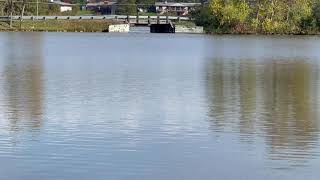 Clear Lake Stringy Lakes Oxford MI [upl. by Ilellan681]