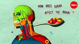 How sugar affects the brain  Nicole Avena [upl. by Iot]