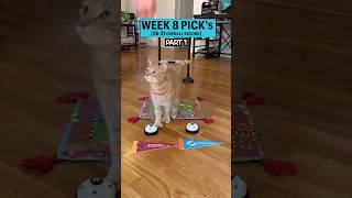 Week 8  NFL football cat cattricks nflpicks smartpets Vikings Rams Colts Lions Falcons [upl. by Remat337]