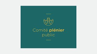 Comité plénier public du 12 novembre 2024 [upl. by Nnylrats]