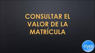 Consulta matricula SRI Vehicular ANT Ecuador Sistema de Matriculación Valores Pagar Gratis [upl. by Marti]